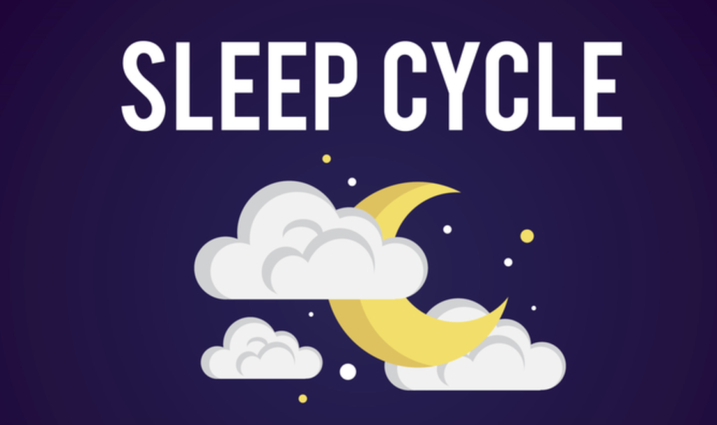 The Sleep Cycle: What Happens While You Sleep?